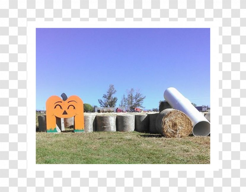 Farm Goat Corn Maze Ranch Hay - Water - Taobao Concession Roll Transparent PNG