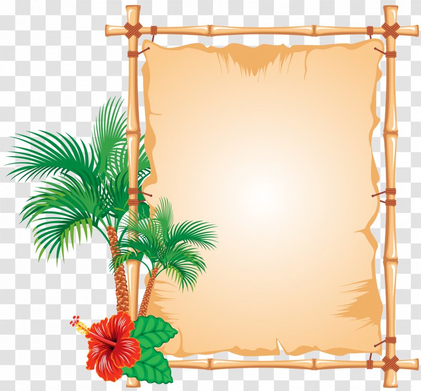 Bamboo Picture Frames - Caribbean Transparent PNG