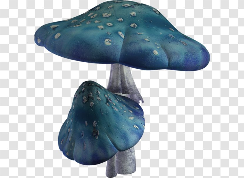 Hot Pot Mushroom Shiitake - Enokitake - Blue Transparent PNG