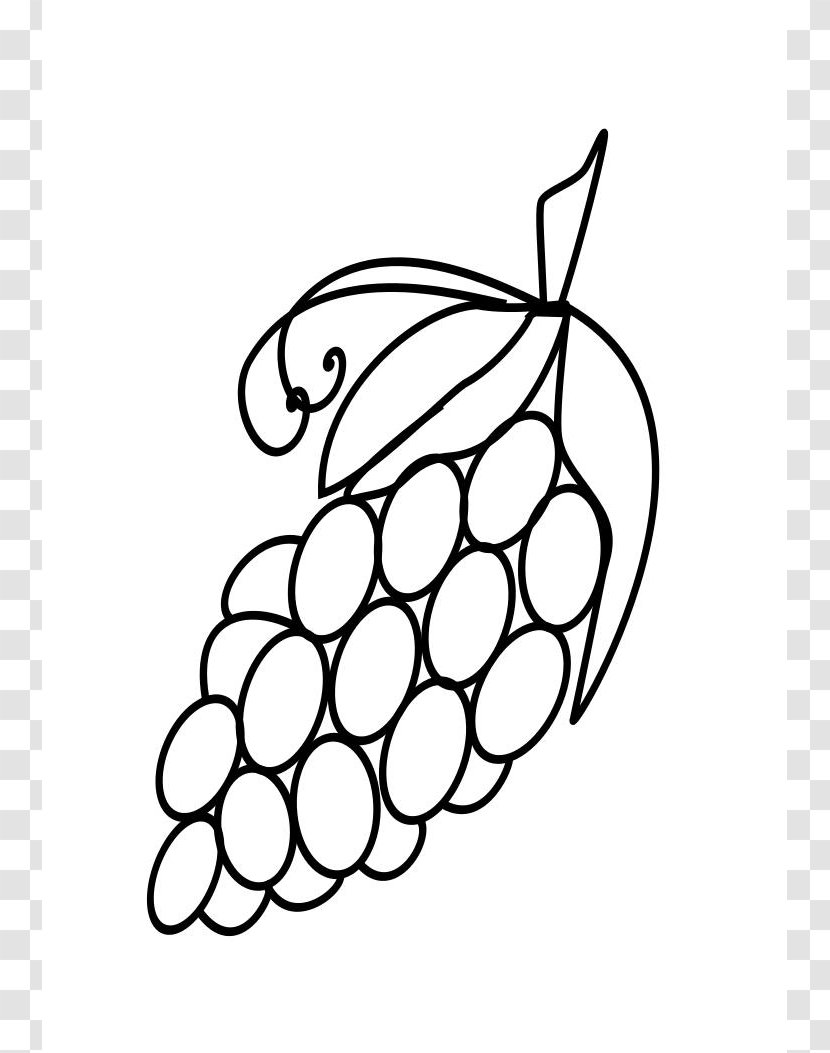 Drawing Grape Fruit Clip Art - Grapevine Family - Grapes Transparent PNG