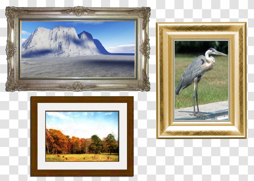 Window Painting Picture Frames Fauna Transparent PNG