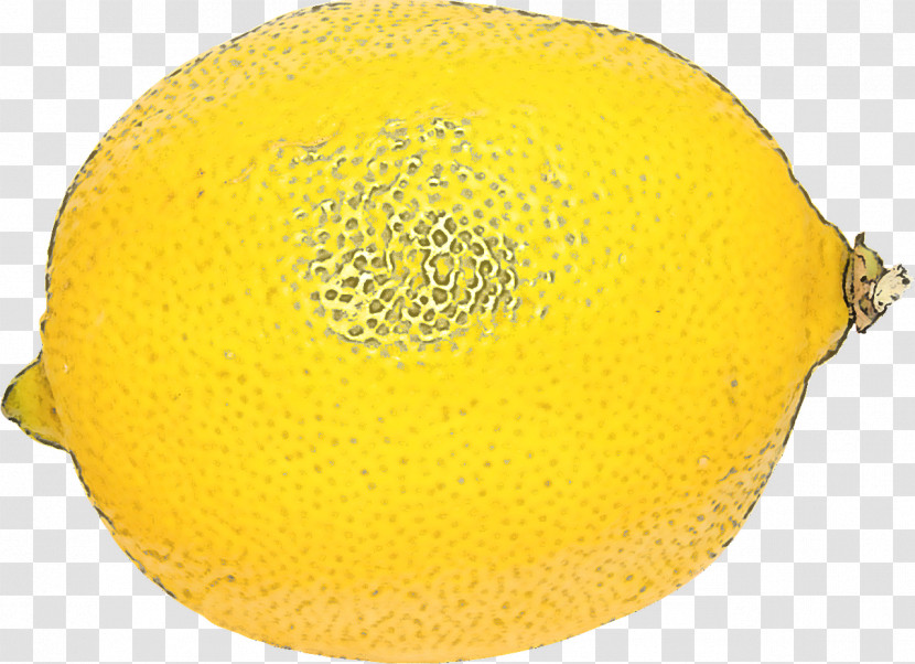 Yellow Fruit Muskmelon Plant Citrus Transparent PNG