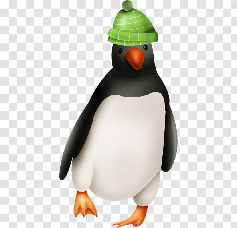 King Penguin Razorbills - World Wide Web - A Transparent PNG