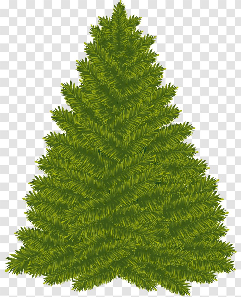 Christmas Tree Day New Year Clip Art - Evergreen Transparent PNG