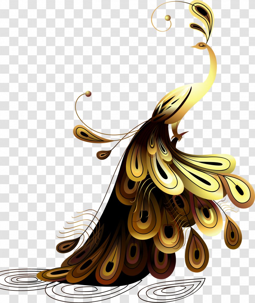 Peafowl Illustration - Cartoon - Golden Peacock Transparent PNG