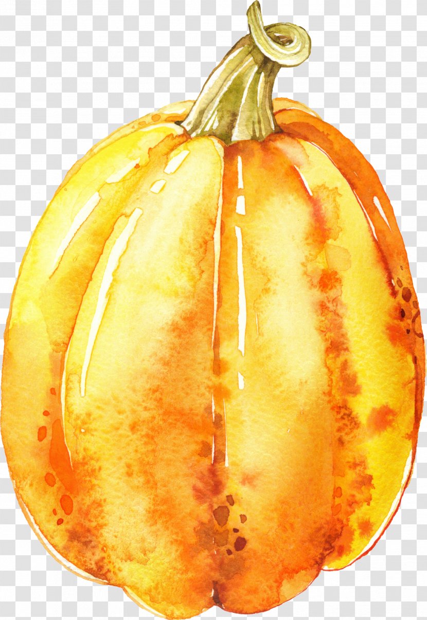 Pumpkin Calabaza Vegetarian Cuisine Gourd Winter Squash - Food Transparent PNG