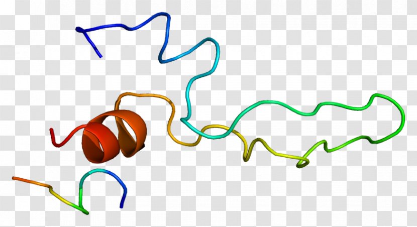 Cholecystokinin A Receptor G Protein–coupled - Cartoon - Frame Transparent PNG