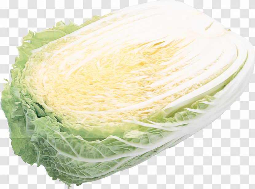 Cabbage Savoy Food Vegetable Lettuce - Wild - Romaine Leaf Transparent PNG