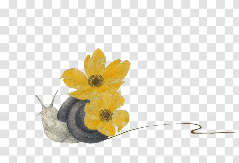 Drawing - Yellow - Carrying Flowers Snail Transparent PNG