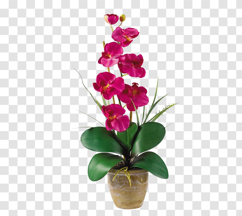 Moth Orchids Artificial Flower Floristry Nearly Natural, Inc. - Plant - Cinematography Filigree Transparent PNG