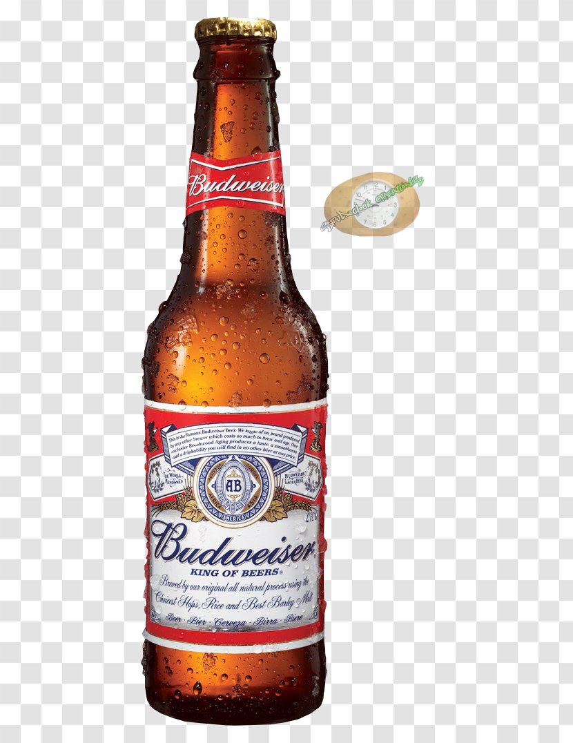 Budweiser Beer Anheuser-Busch Lager Distilled Beverage - Brewing Grains Malts Transparent PNG