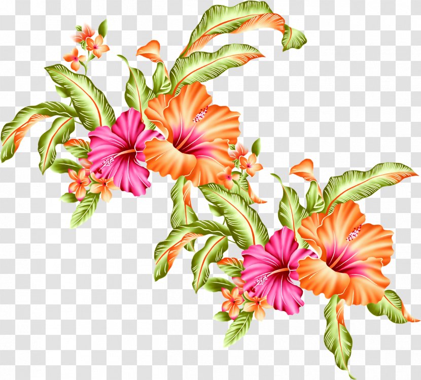 Orange Flower Ipomoea Nil - Cartoon - Trumpet Flowers Transparent PNG