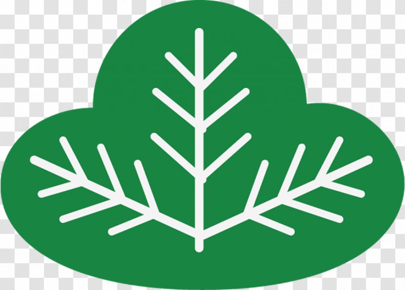 Green Leaf Grass Plant Symbol - Logo Transparent PNG