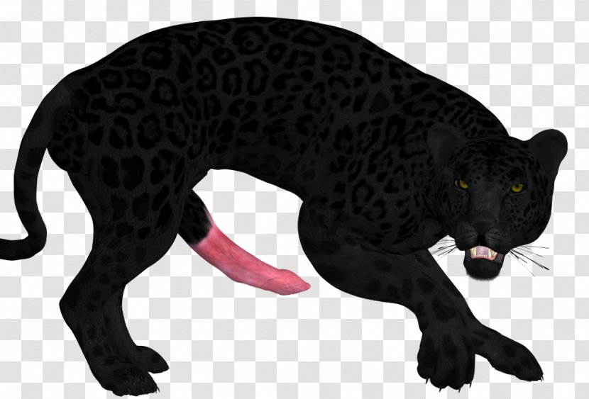 Leopard Cat Terrestrial Animal Puma Wildlife - Small To Medium Sized Cats Transparent PNG