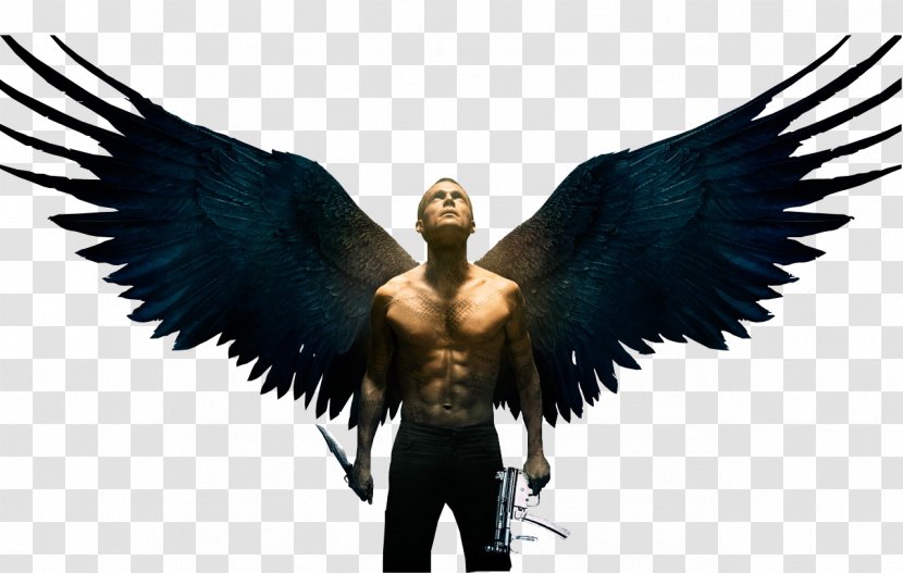 Michael Film 0 Angel Trailer - Feather Transparent PNG