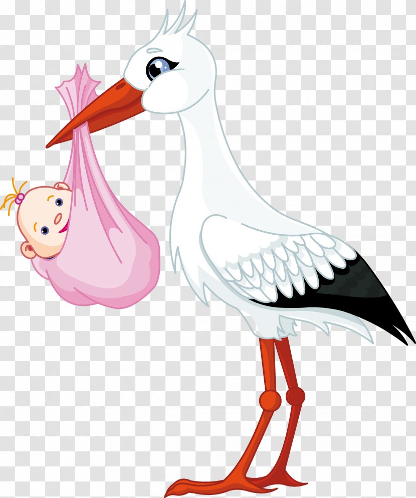 White Stork Infant Child Clip Art - Heart - Cute Transparent PNG