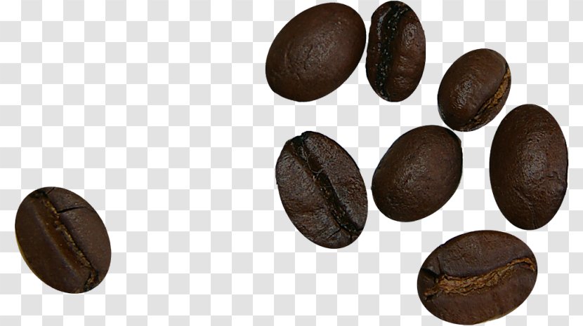 Coffee Bean Cafe Food - Quality Beans Transparent PNG