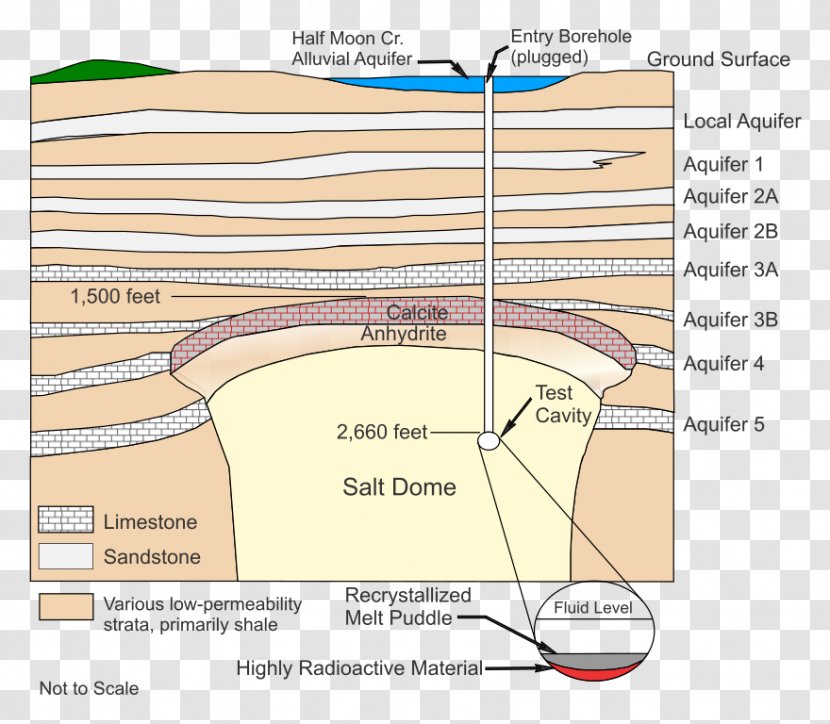 Line Ecoregion Angle Diagram Organism - Silhouette Transparent PNG