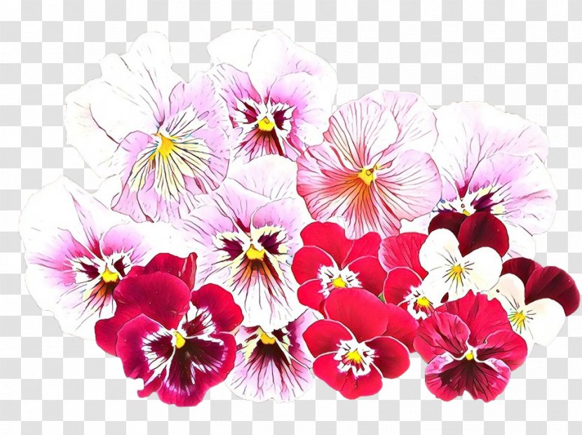 Pink Flower Cartoon - Wild Pansy - Viola Geranium Transparent PNG