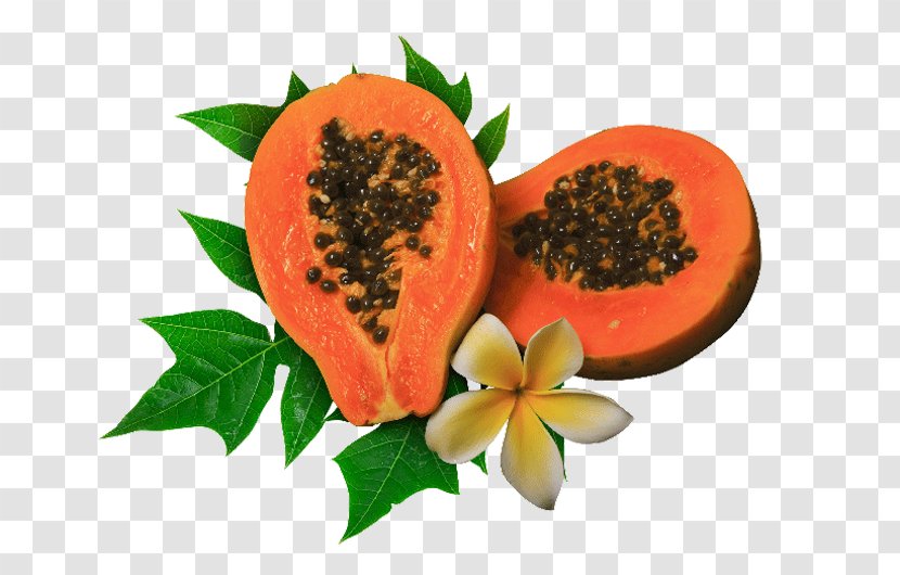 Papaya Papain Food Health Juice - Leaf Transparent PNG