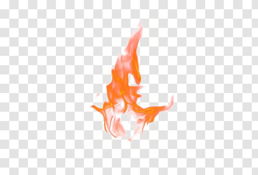 Fire Flame Clip Art - Flower - Orange Transparent PNG