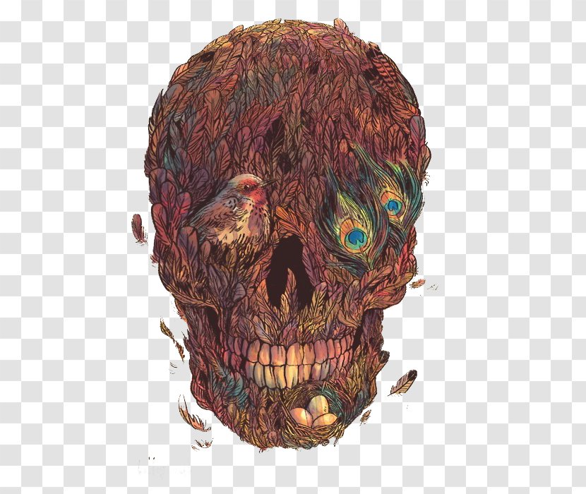 Skull Calavera Drawing Art - Painting - Creative Feather Skulls Transparent PNG