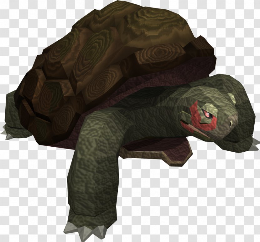 RuneScape Turtle Reptile Desert Tortoise - Tortoide Transparent PNG