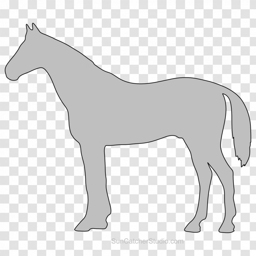 Mule Foal Stallion Mare Colt - Horse - Mustang Transparent PNG