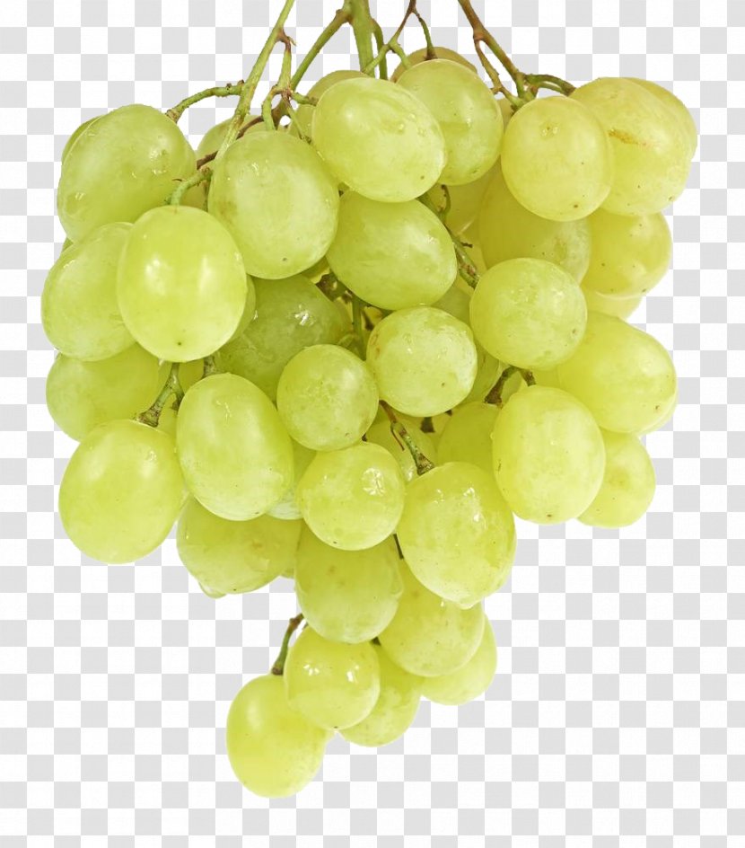 Sultana Wine Grape Seedless Fruit - Harvest - Green Grapes Transparent PNG