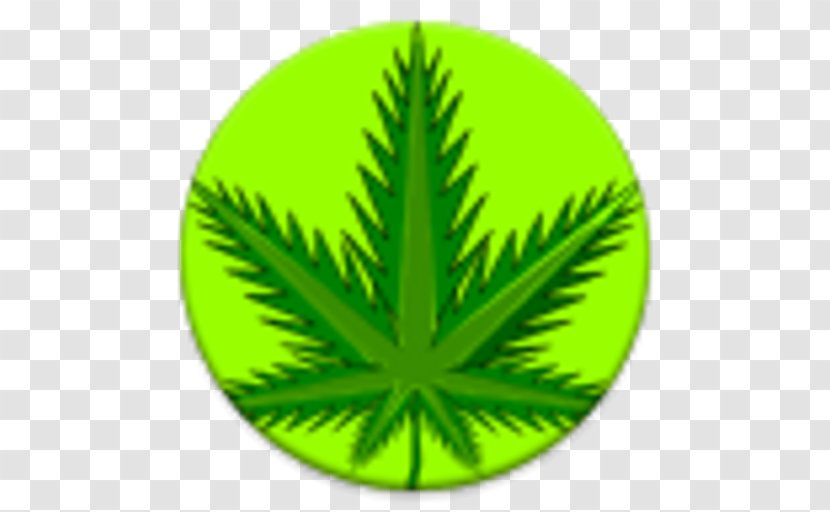 Kindle Fire Cannabis Android Transparent PNG
