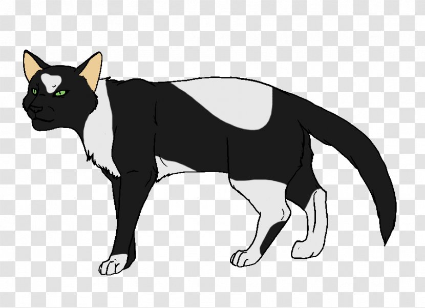 Whiskers Kitten Horse Black Cat - Carnivoran - Foot Transparent PNG