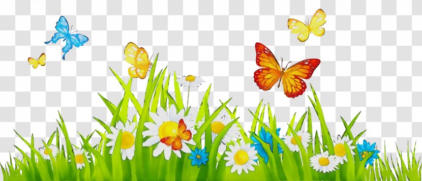 Watercolor Flower Background - Meadow - Insect Moths And Butterflies Transparent PNG