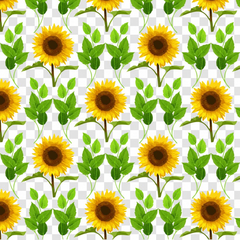 Common Sunflower Mother's Day - Wish - Vector Transparent PNG
