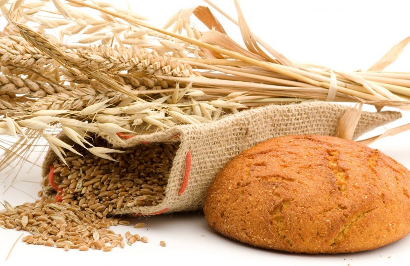 Common Wheat Whole Bread Cereal Food - Germ Transparent PNG