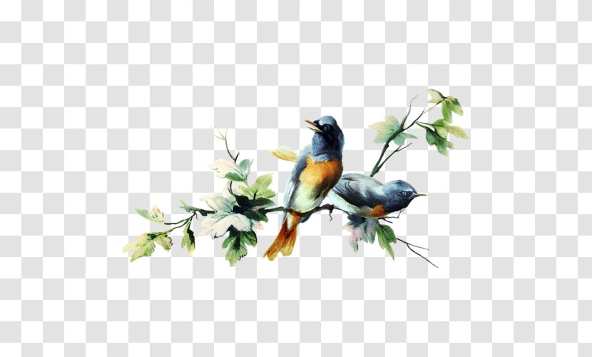 Chez Michel Day Sparrow Image Bird - Beak - And Flower Transparent PNG