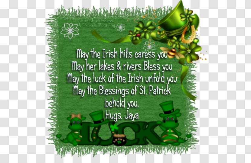 Saint Patrick's Day Grasses Herbalism Leaf Font Transparent PNG