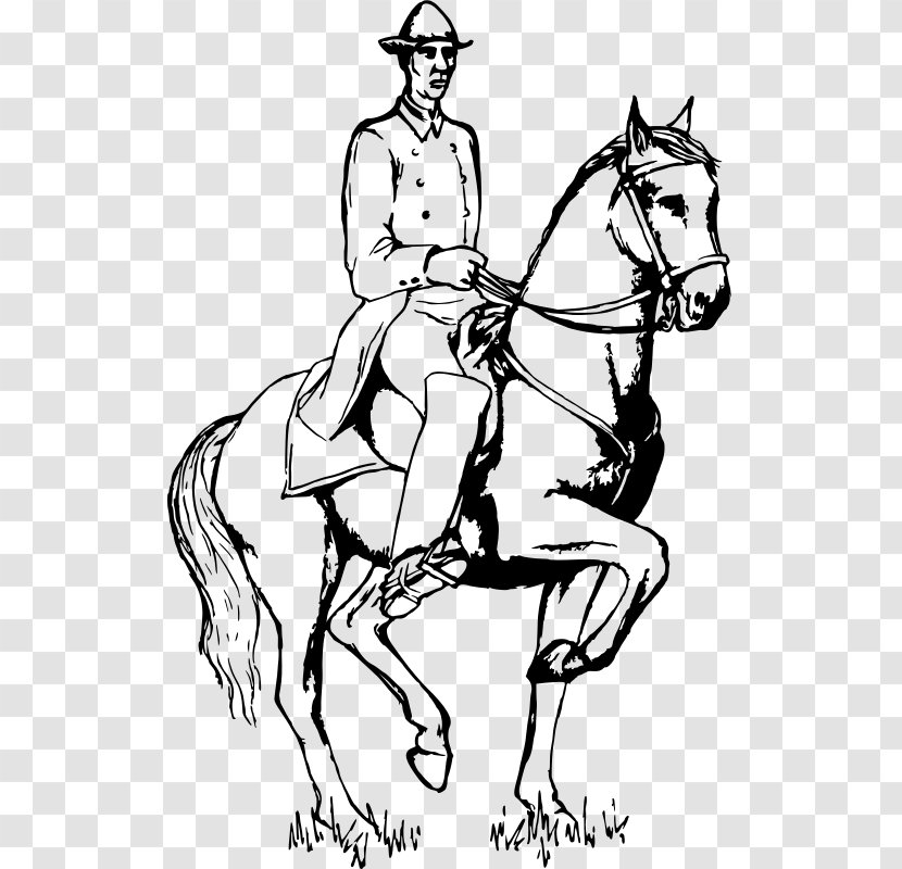 Equestrian Dressage American Quarter Horse Clip Art - Line Transparent PNG