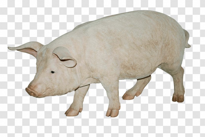 Large Black Pig Hogs And Pigs Farming - Terrestrial Animal - Image Transparent PNG