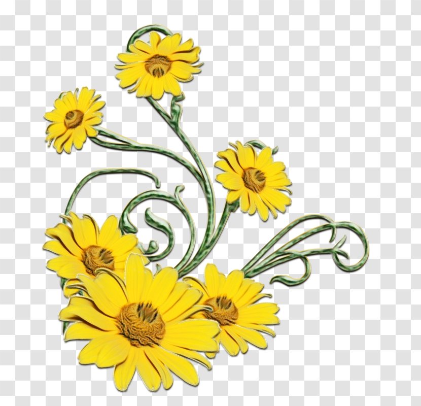 Common Sunflower Donald Duck Daisy Mickey Mouse Minnie - Photography - Pot Marigold Transparent PNG