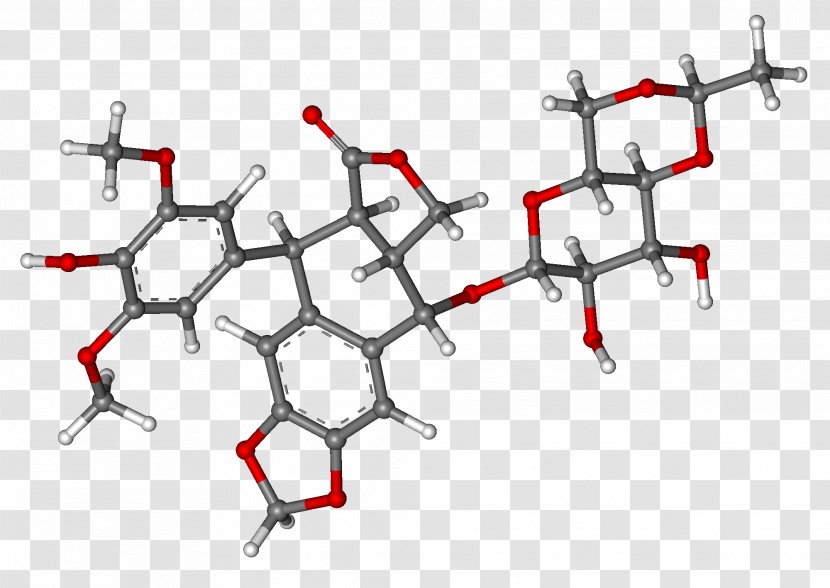 Etoposide Epipodophyllotoxin Podophyllum Peltatum Pharmaceutical Drug Cancer - Malignant Neoplasm Of Testis - Lung Transparent PNG