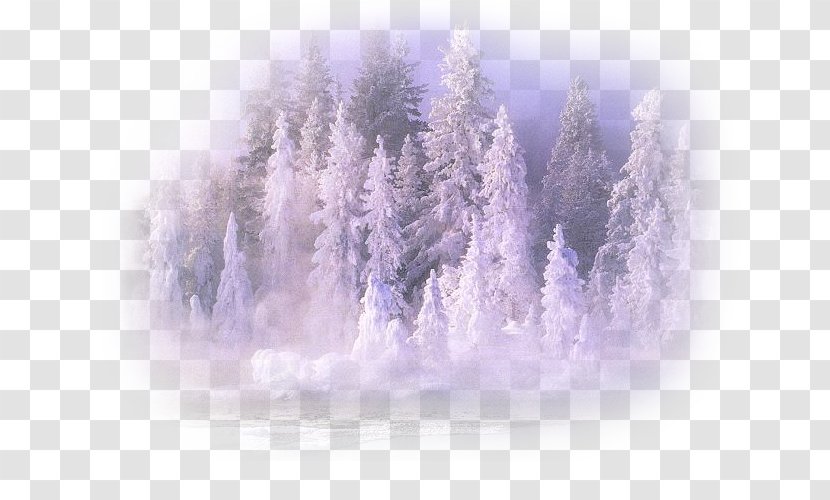 Winter Desktop Wallpaper Landscape Painting Diary - Freezing Transparent PNG