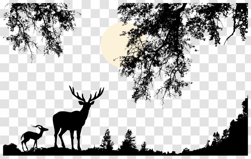 Wildlife Vector - Branch - Drawing Transparent PNG