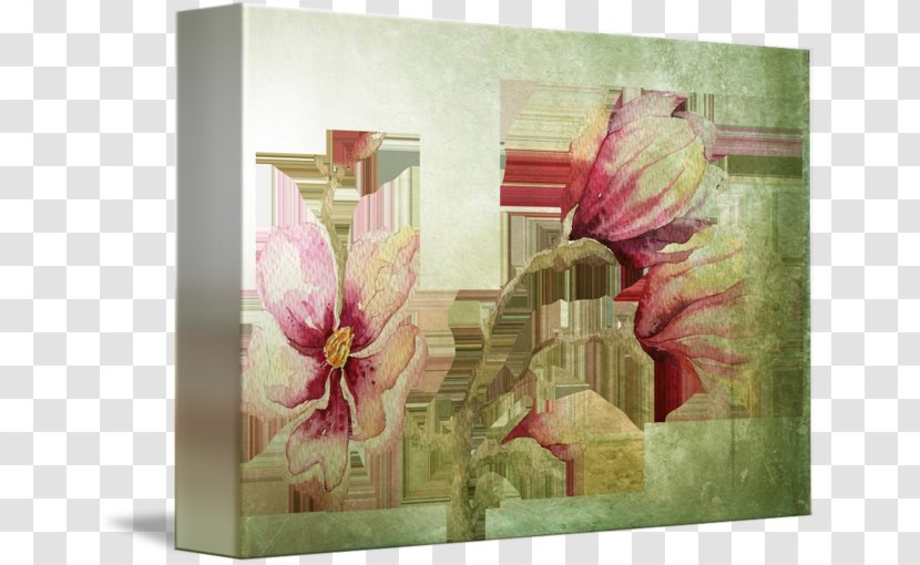 Flower Floral Design Painting Still Life Floristry - Rectangle - Magnolia Transparent PNG