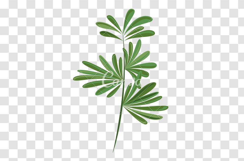 Leaf Plant Stem Branch Poster Printmaking - Royaltyfree - Greenery Transparent PNG