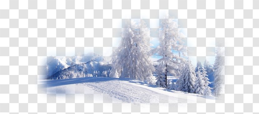 Desktop Wallpaper Winter Nature Snow Landscape - Fir Transparent PNG