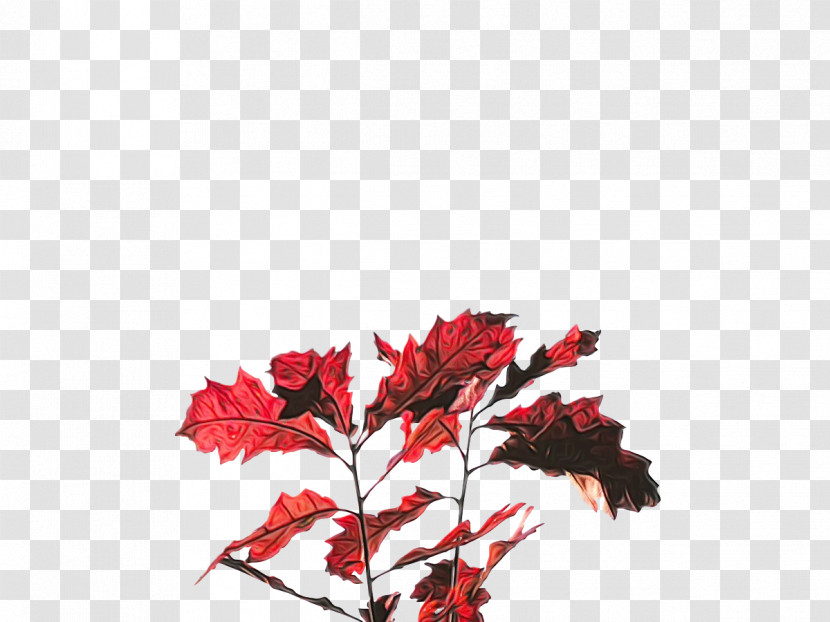 Leaf Twig Maple Leaf / M Meter Red Transparent PNG