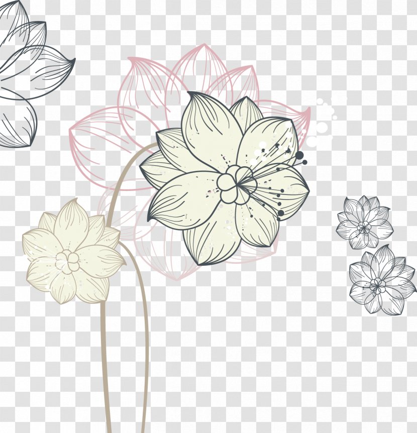 Flower Euclidean Vector Nelumbo Nucifera Illustration - Floral Design - Hand-drawn Line Lotus Transparent PNG