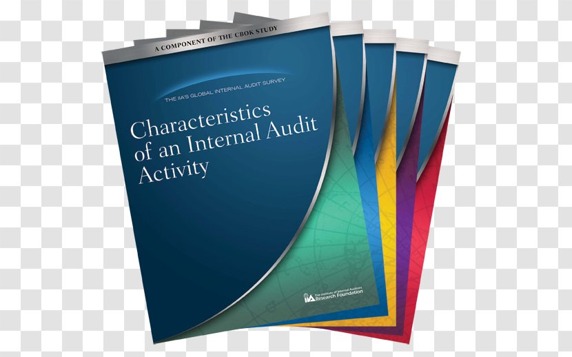 Institute Of Internal Auditors Quality Audit Control - Report Transparent PNG