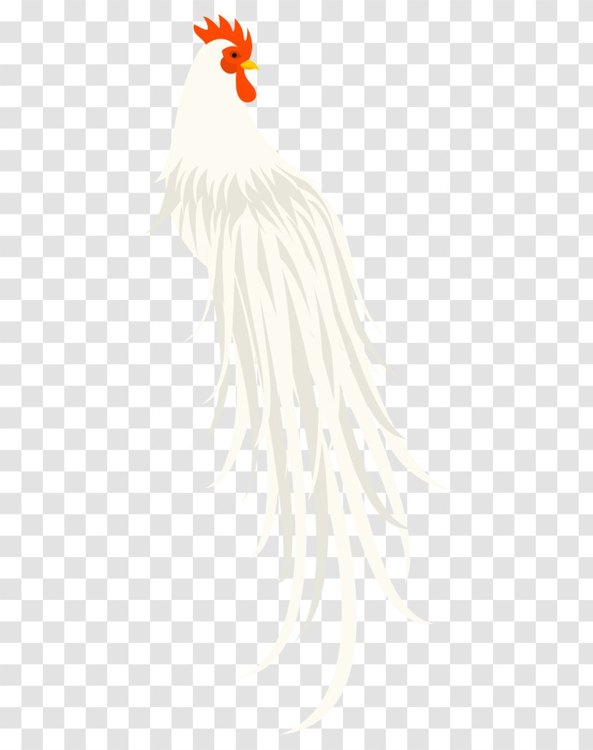 Rooster Bird Beak Dog Feather - Tail Transparent PNG