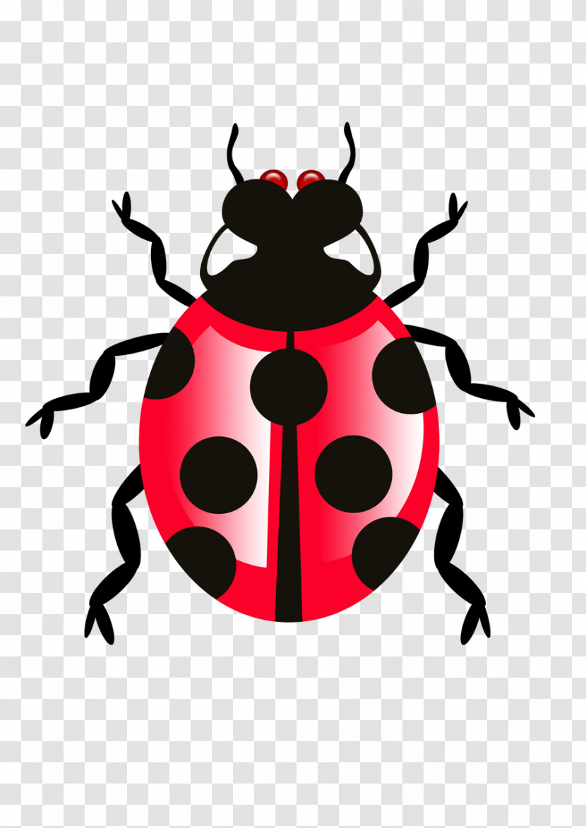 Insect Beetle Pest Weevil Darkling Beetles Transparent PNG